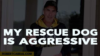 Rescue Dog Aggressive to Other Dogs - Dog Training Advice
