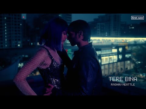 Tere Bina - Raghav Meattle (Official Music Video)