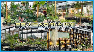 새로생긴 집앞 화원 갔다가 단골되게 생겼습니다... 너무좋음 ㅠㅠ