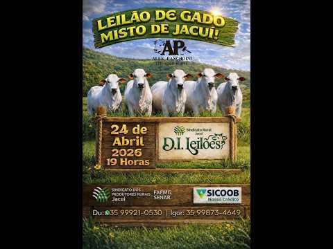 LEILÃO DE GADO SINDICATO DE JACUÍ. MG