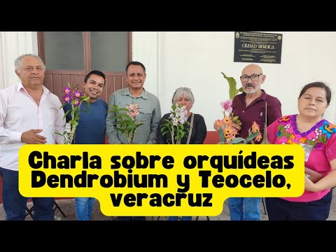 Charla sobre orquídeas Dendrobium y Teocelo, Veracruz.