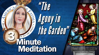 Agony of the Garden — The Suffering of Jesus Christ