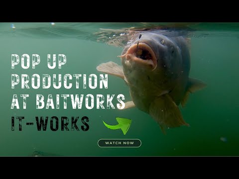 POP UP BAIT PRODUCTION - Ultra Buoyant - Carp Fishing