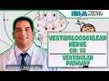 Neurology Vestibulocochlear Nerve Cranial Nerve VIII Vestibular Pathway