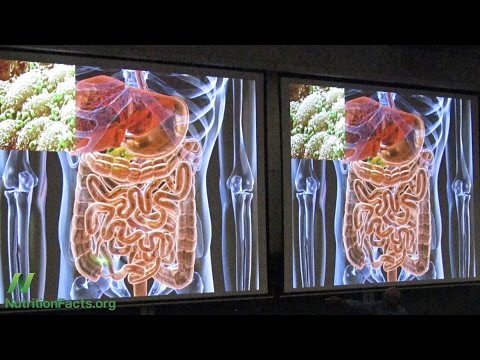 Fecal Transplants for Aging and Weight Loss