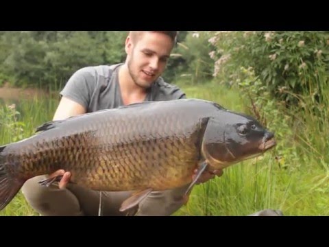Karpfenangeln Videotagebuch 23 - CarpFishingETM