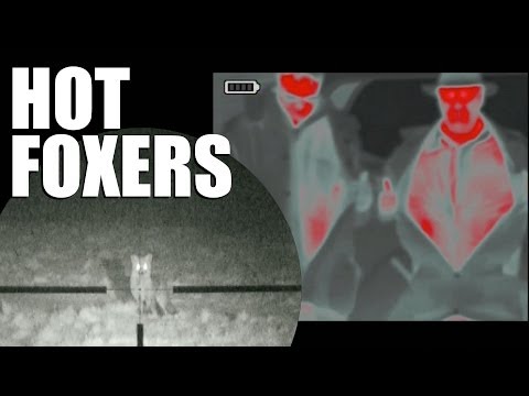 Hot Foxshooters