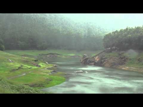 Munnar video