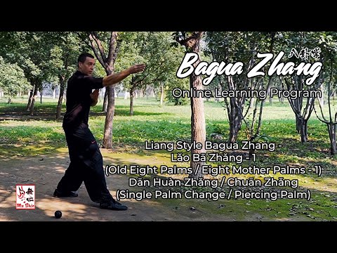 Hua Jin Online Learning Program - Bagua Zhang Glimpses #03