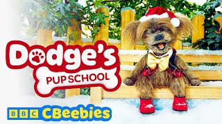 The Christmas Show 🎄🐾🎭 | FULL EPISODE | Dodge's Pup School | CBeebies