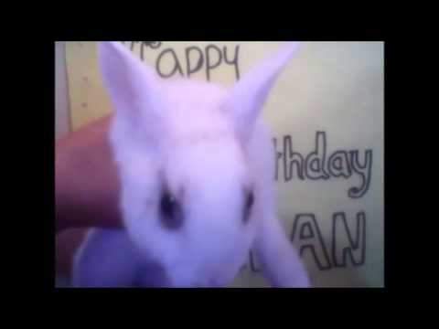 Happy Birthday Norman ( from Peru)