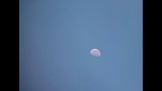 Pedro Capó   Amores Como el Nuestro con letra ♫ Videos Lyrics HD ♫