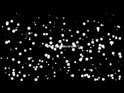 DAVE VEGA The thrill is gone