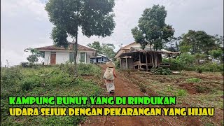 Visiting Bunut Village... The Yard is Clean and Green.