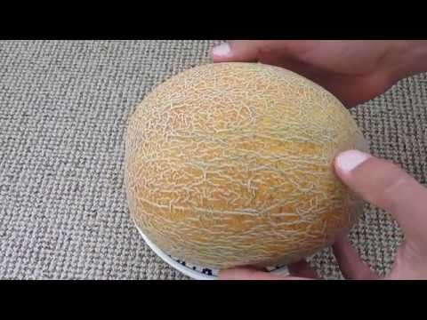 Купить Семена Дыни Ф1