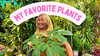 10 Plants I Can’t Live Without