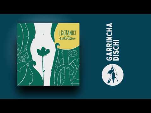 Video thumbnail for Solstizio d'inverno