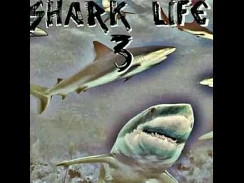 GreatWhiteStylez ft SG Boogie & Rida Zilla  Ain't no turning around