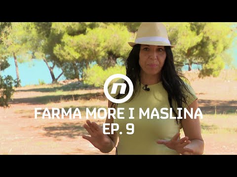 Opasnosti na farmi - Epizoda 9 | Farma More i Maslina