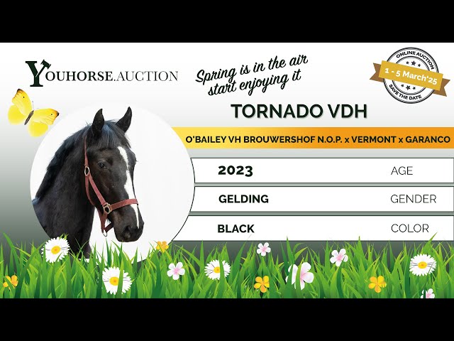 Tornado VDH