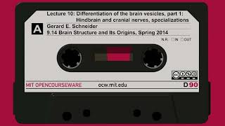 10. Differentiation of the brain vesicles, part 1: Hindbrain and cranial nerves, specializations