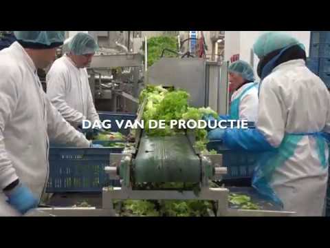 Dag van de Productie bij Hessing