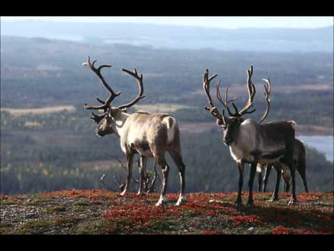Lappi (Lapland) - Nightwish