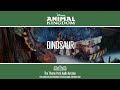 Dinosaur Animal Kingdom