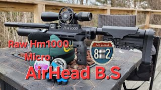 Raw Hm1000 Micro hunter (Airhead B.S)