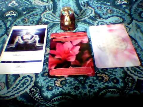 Wunderbares Götterorakel Wochenorakel am 25. August 2016