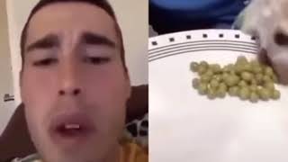 Cover art for No Peas In His Mouth