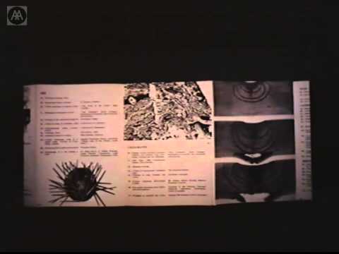 Irénée Scalbert - Sources of the Formless (Parts I & II)