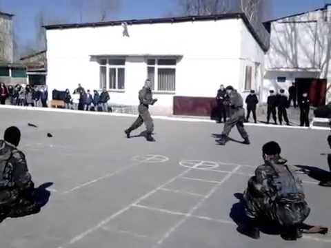 unitatea militara 1006 carabinieri