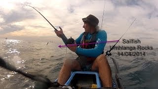 preview picture of video 'sailfish hooked on kayak - off  umhlanga'