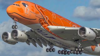 60 MINUTES PURE AVIATION - AIRBUS A380, B747, IL62, IL76, AN12 and more (4K)