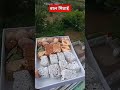 Almora Ki Baal Mithai Almora Song Kumauni Uttarakhand