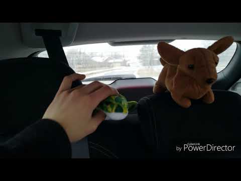 Tom the Hand franchise (2016-present) - Outtakes