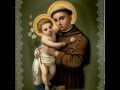 Santo Antonio Protetor 