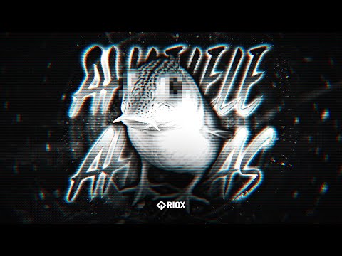 AHLELELE AHLELAS FUNK - SHX4 x KIT