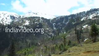 Kothi Picnic Spot in Manali, Himachal Pradesh 