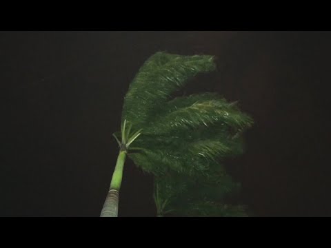 Ventos ultrapassam 85 km/h em Rio Claro
