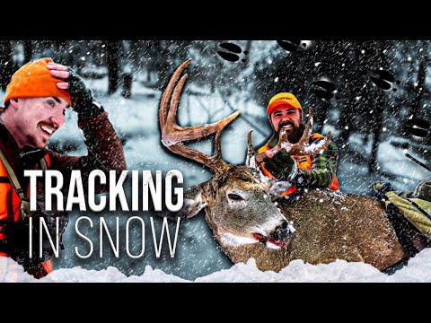 Tracking a Big Woods Buck in Fresh Snow | The Track That Changed Everything