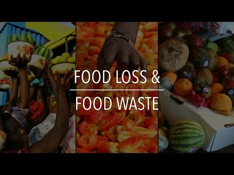 Food Loss and Food Waste Database