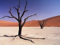 David Arkenstone - Desert Ride (instrumental)