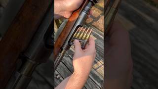 Steyr M95/30
