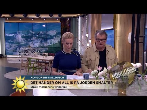 Det händer om all is på jorden smälter - Nyhetsmorgon (TV4)