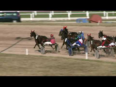 2021.10.02. 02. futam - LAMELLA HENDIKEP