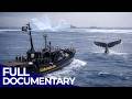 Whale Wars Sea Shepherd Vs Japan S Whaling Fleet The Blue Realm FD Ocean