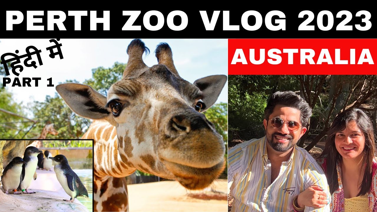 Travelers embark on a journey to Perth Zoo.