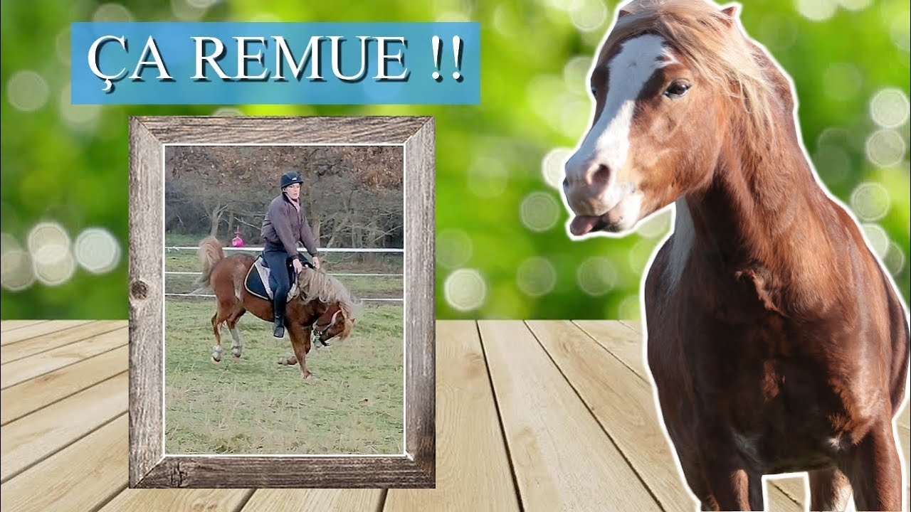ÇA REMUE SOUS LA SELLE !! - Débourrage 3eme fois monté